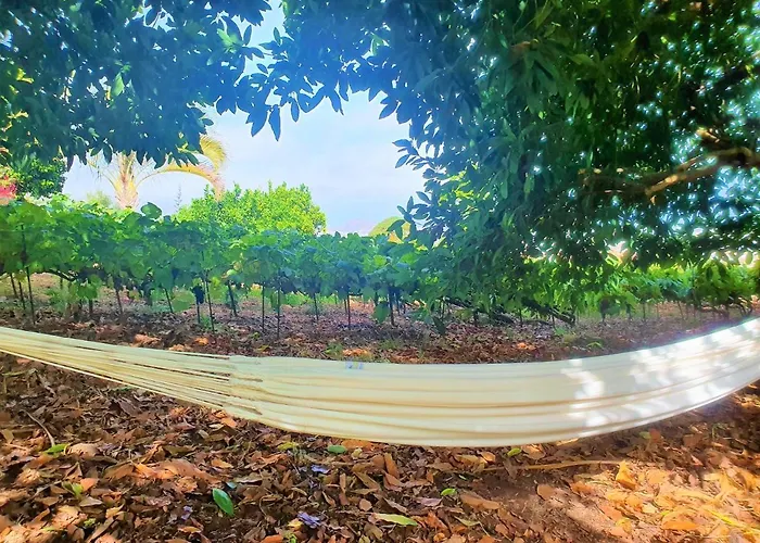 Casa En Finca Ecologica - Wifi